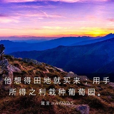 Picture 03 - 箴 言 31:16 CUVS - 他 想 得 田 地 就 买 来 ； 用 手 所 - Bible Verse Picture