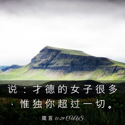 Picture 03 - 箴 言 31:29 CUVS - 说 ： 才 德 的 女 子 很 多 ， 惟 独 - Bible Verse Picture