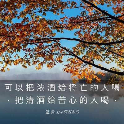 Picture 03 - 箴 言 31:6 CUVS - 可 以 把 浓 酒 给 将 亡 的 人 喝 ， - Bible Verse Picture