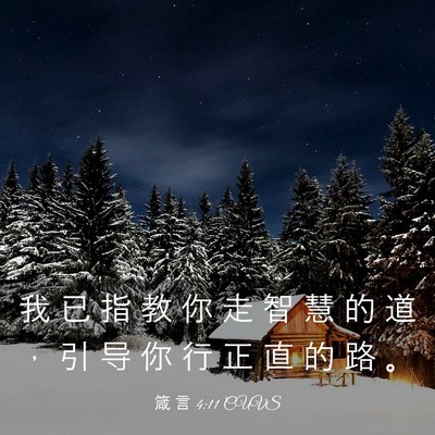 Picture 03 - 箴 言 4:11 CUVS - 我 已 指 教 你 走 智 慧 的 道 ， 引 - Bible Verse Picture