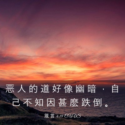 Picture 03 - 箴 言 4:19 CUVS - 恶 人 的 道 好 像 幽 暗 ， 自 己 不 - Bible Verse Picture