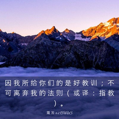 Picture 03 - 箴 言 4:2 CUVS - 因 我 所 给 你 们 的 是 好 教 训 ； - Bible Verse Picture