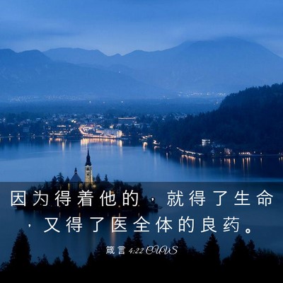 Picture 03 - 箴 言 4:22 CUVS - 因 为 得 着 他 的 ， 就 得 了 生 命 - Bible Verse Picture