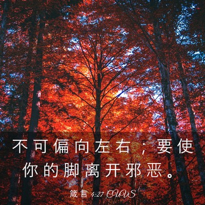 Picture 03 - 箴 言 4:27 CUVS - 不 可 偏 向 左 右 ； 要 使 你 的 脚 - Bible Verse Picture