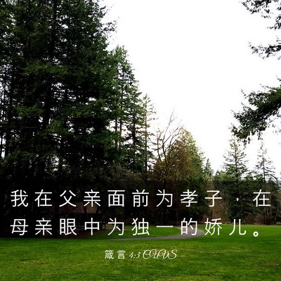 Picture 03 - 箴 言 4:3 CUVS - 我 在 父 亲 面 前 为 孝 子 ， 在 母 - Bible Verse Picture