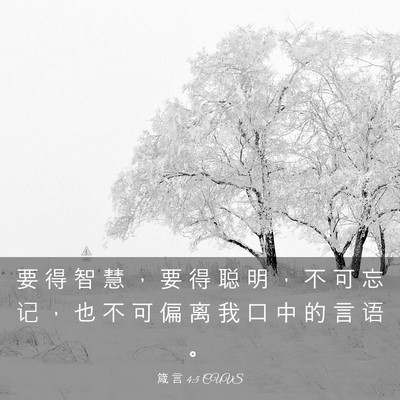 Picture 03 - 箴 言 4:5 CUVS - 要 得 智 慧 ， 要 得 聪 明 ， 不 可 - Bible Verse Picture