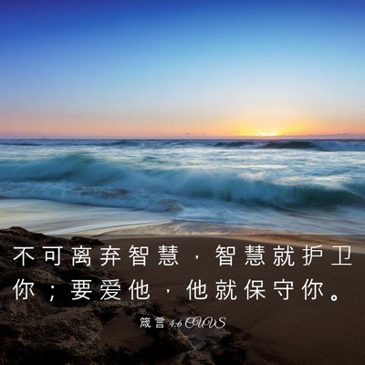 Picture 03 - 箴 言 4:6 CUVS - 不 可 离 弃 智 慧 ， 智 慧 就 护 卫 - Bible Verse Picture