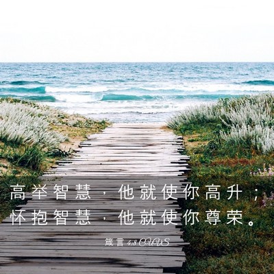 Picture 03 - 箴 言 4:8 CUVS - 高 举 智 慧 ， 他 就 使 你 高 升 ； - Bible Verse Picture