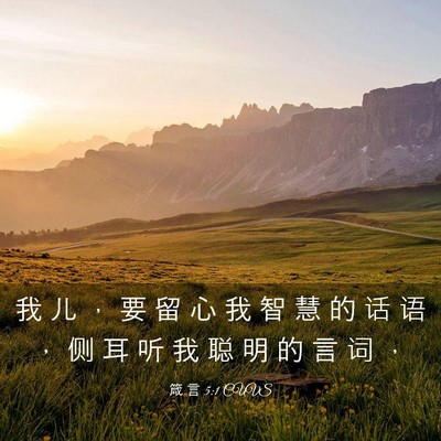 Picture 03 - 箴 言 5:1 CUVS - 我 儿 ， 要 留 心 我 智 慧 的 话 语 - Bible Verse Picture