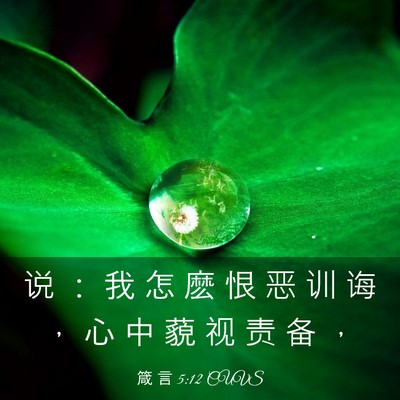 Picture 03 - 箴 言 5:12 CUVS - 说 ： 我 怎 麽 恨 恶 训 诲 ， 心 中 - Bible Verse Picture