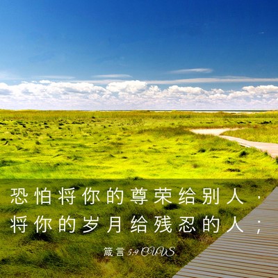 Picture 03 - 箴 言 5:9 CUVS - 恐 怕 将 你 的 尊 荣 给 别 人 ， 将 - Bible Verse Picture
