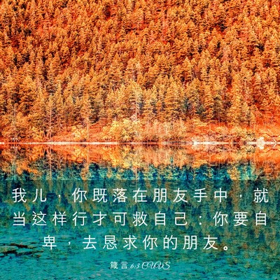 Picture 03 - 箴 言 6:3 CUVS - 我 儿 ， 你 既 落 在 朋 友 手 中 ， - Bible Verse Picture