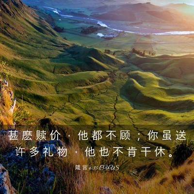 Picture 03 - 箴 言 6:35 CUVS - 甚 麽 赎 价 ， 他 都 不 顾 ； 你 虽 - Bible Verse Picture
