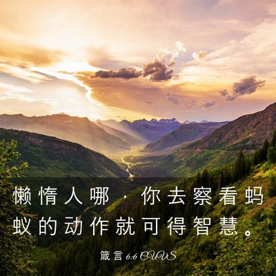 Picture 03 - 箴 言 6:6 CUVS - 懒 惰 人 哪 ， 你 去 察 看 蚂 蚁 的 - Bible Verse Picture