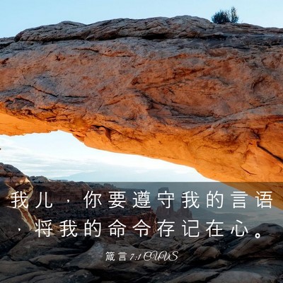 Picture 03 - 箴 言 7:1 CUVS - 我 儿 ， 你 要 遵 守 我 的 言 语 ， - Bible Verse Picture