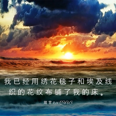 Picture 03 - 箴 言 7:16 CUVS - 我 已 经 用 绣 花 毯 子 和 埃 及 线 - Bible Verse Picture