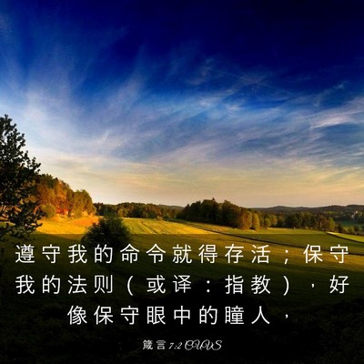 Picture 03 - 箴 言 7:2 CUVS - 遵 守 我 的 命 令 就 得 存 活 ； 保 - Bible Verse Picture
