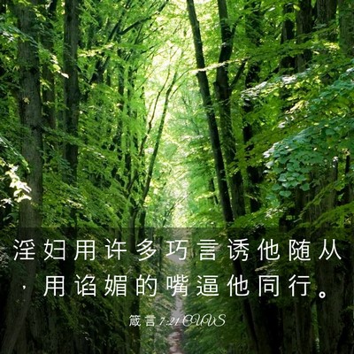 Picture 03 - 箴 言 7:21 CUVS - 淫 妇 用 许 多 巧 言 诱 他 随 从 ， - Bible Verse Picture