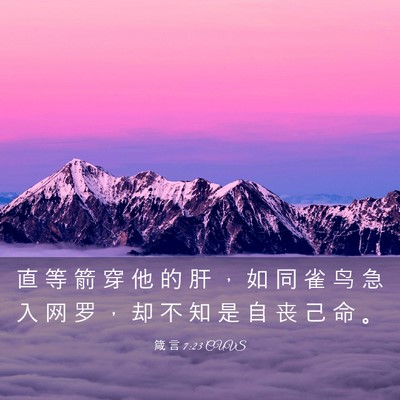 Picture 03 - 箴 言 7:23 CUVS - 直 等 箭 穿 他 的 肝 ， 如 同 雀 鸟 - Bible Verse Picture