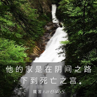 Picture 03 - 箴 言 7:27 CUVS - 他 的 家 是 在 阴 间 之 路 ， 下 到 - Bible Verse Picture
