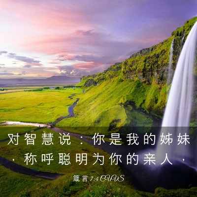 Picture 03 - 箴 言 7:4 CUVS - 对 智 慧 说 ： 你 是 我 的 姊 妹 ， - Bible Verse Picture