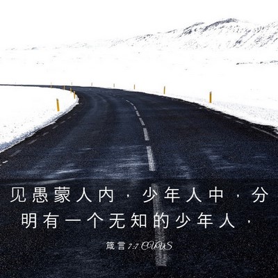 Picture 03 - 箴 言 7:7 CUVS - 见 愚 蒙 人 内 ， 少 年 人 中 ， 分 - Bible Verse Picture