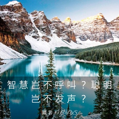 Picture 03 - 箴 言 8:1 CUVS - 智 慧 岂 不 呼 叫 ？ 聪 明 岂 不 发 - Bible Verse Picture
