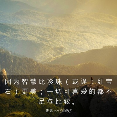 Picture 03 - 箴 言 8:11 CUVS - 因 为 智 慧 比 珍 珠 （ 或 译 ： 红 - Bible Verse Picture