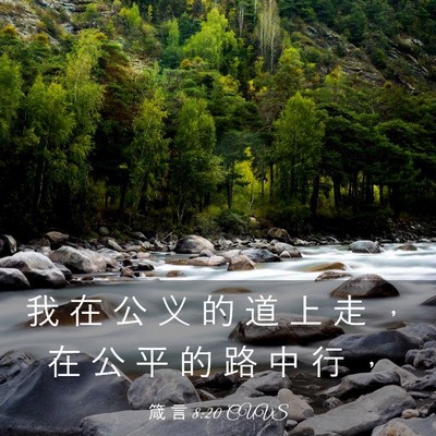 Picture 03 - 箴 言 8:20 CUVS - 我 在 公 义 的 道 上 走 ， 在 公 平 - Bible Verse Picture