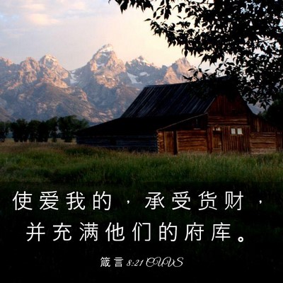 Picture 03 - 箴 言 8:21 CUVS - 使 爱 我 的 ， 承 受 货 财 ， 并 充 - Bible Verse Picture