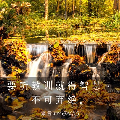 Picture 03 - 箴 言 8:33 CUVS - 要 听 教 训 就 得 智 慧 ， 不 可 弃 - Bible Verse Picture