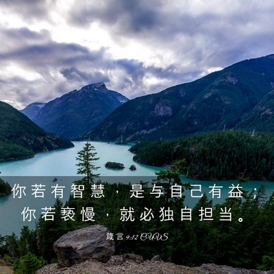 Picture 03 - 箴 言 9:12 CUVS - 你 若 有 智 慧 ， 是 与 自 己 有 益 - Bible Verse Picture