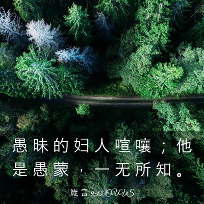 Picture 03 - 箴 言 9:13 CUVS - 愚 昧 的 妇 人 喧 嚷 ； 他 是 愚 蒙 - Bible Verse Picture