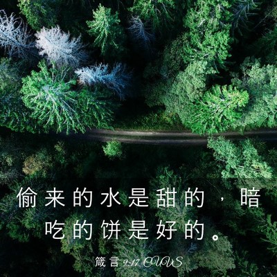Picture 03 - 箴 言 9:17 CUVS - 偷 来 的 水 是 甜 的 ， 暗 吃 的 饼 - Bible Verse Picture
