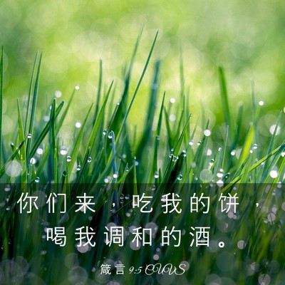 Picture 03 - 箴 言 9:5 CUVS - 你 们 来 ， 吃 我 的 饼 ， 喝 我 调 - Bible Verse Picture