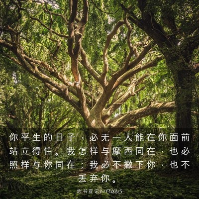 Picture 03 - 约 书 亚 记 1:5 CUVS - 你 平 生 的 日 子 ， 必 无 一 人 能 - Bible Verse Picture