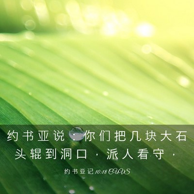 Picture 03 - 约 书 亚 记 10:18 CUVS - 约 书 亚 说 ： 你 们 把 几 块 大 石 - Bible Verse Picture