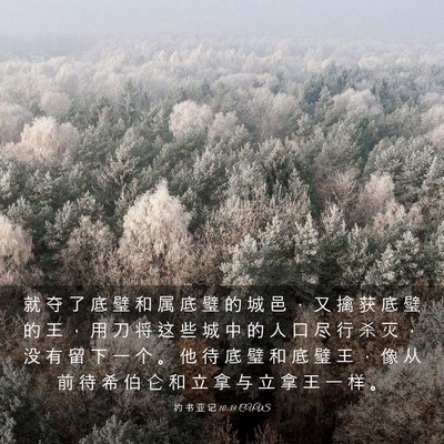 Picture 03 - 约 书 亚 记 10:39 CUVS - 就 夺 了 底 璧 和 属 底 璧 的 城 邑 - Bible Verse Picture