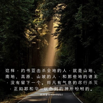 Picture 03 - 约 书 亚 记 10:40 CUVS - 这 样 ， 约 书 亚 击 杀 全 地 的 人 - Bible Verse Picture