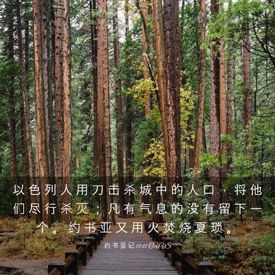 Picture 03 - 约 书 亚 记 11:11 CUVS - 以 色 列 人 用 刀 击 杀 城 中 的 人 - Bible Verse Picture