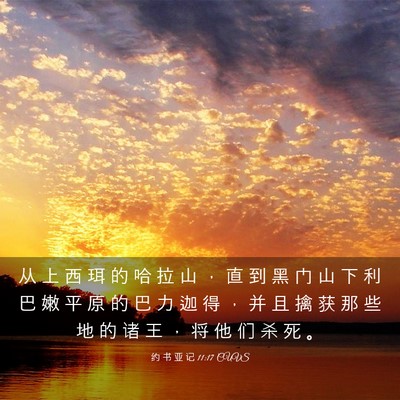 Picture 03 - 约 书 亚 记 11:17 CUVS - 从 上 西 珥 的 哈 拉 山 ， 直 到 黑 - Bible Verse Picture