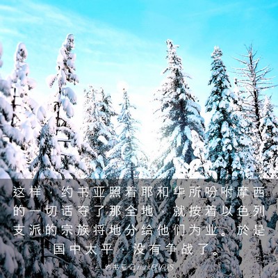 Picture 03 - 约 书 亚 记 11:23 CUVS - 这 样 ， 约 书 亚 照 着 耶 和 华 所 - Bible Verse Picture