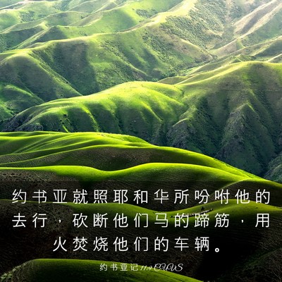 Picture 03 - 约 书 亚 记 11:9 CUVS - 约 书 亚 就 照 耶 和 华 所 吩 咐 他 - Bible Verse Picture