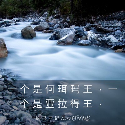 Picture 03 - 约 书 亚 记 12:14 CUVS - 一 个 是 何 珥 玛 王 ， 一 个 是 亚 - Bible Verse Picture