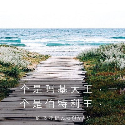 Picture 03 - 约 书 亚 记 12:16 CUVS - 一 个 是 玛 基 大 王 ， 一 个 是 伯 - Bible Verse Picture