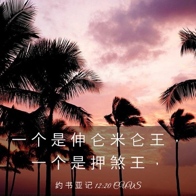 Picture 03 - 约 书 亚 记 12:20 CUVS - 一 个 是 伸 仑 米 仑 王 ， 一 个 是 - Bible Verse Picture
