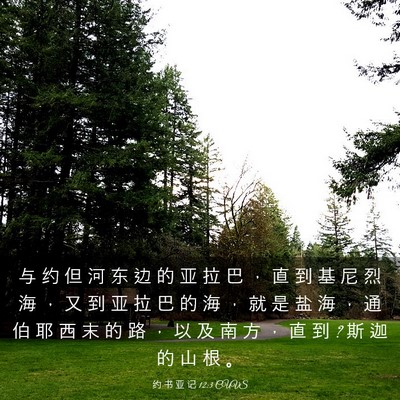 Picture 03 - 约 书 亚 记 12:3 CUVS - 与 约 但 河 东 边 的 亚 拉 巴 ， 直 - Bible Verse Picture