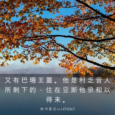 Picture 03 - 约 书 亚 记 12:4 CUVS - 又 有 巴 珊 王 噩 。 他 是 利 乏 音 - Bible Verse Picture