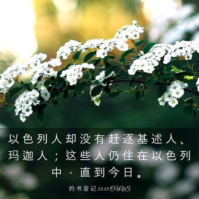 Picture 03 - 约 书 亚 记 13:13 CUVS - 以 色 列 人 却 没 有 赶 逐 基 述 人 - Bible Verse Picture