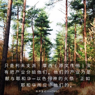 Picture 03 - 约 书 亚 记 13:14 CUVS - 只 是 利 未 支 派 ， 摩 西 （ 原 文 - Bible Verse Picture